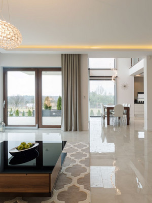 Salon moderne avec un mobilier lumineux