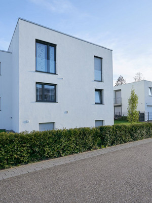 Moderner Neubau mit Flachdach und Garten