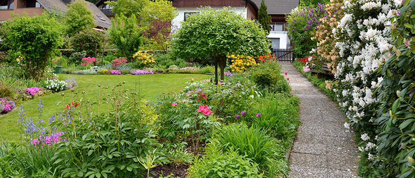 Grüner Garten mit schmalem Weg zu einem Mehrfamilienhaus