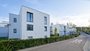 Moderner Neubau mit Flachdach und Garten