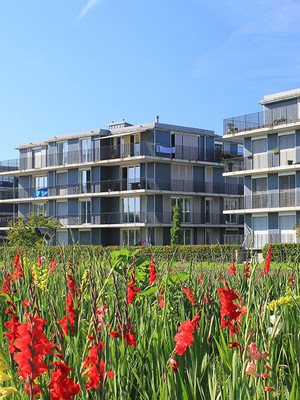 Wohngebäude im Grünen mit blauem Himmel